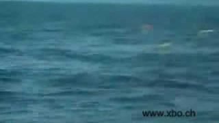 very funny accidents